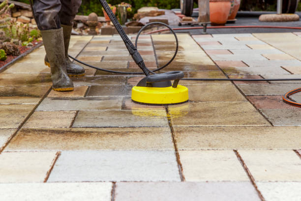 Best Dumpster Area Cleaning  in Boca Raton, FL
